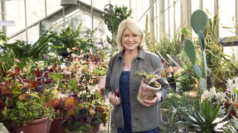 Martha Steward showcases her new apparel line for Tractor Supply.